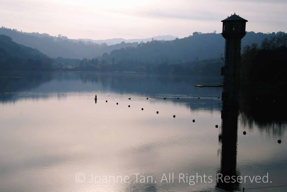 Photographed early morning by the clear & crisp water in fall, serenity undisturbed by birds on top of the water tower, line and floats on the Lafayette reservoir, California.