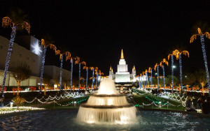 The Mormon temple is lit with holiday lights that kicks off the Christmas season. A northern star is projected onto a building's exterior while the palm trees, hedges, and lawn are glowing with lights.