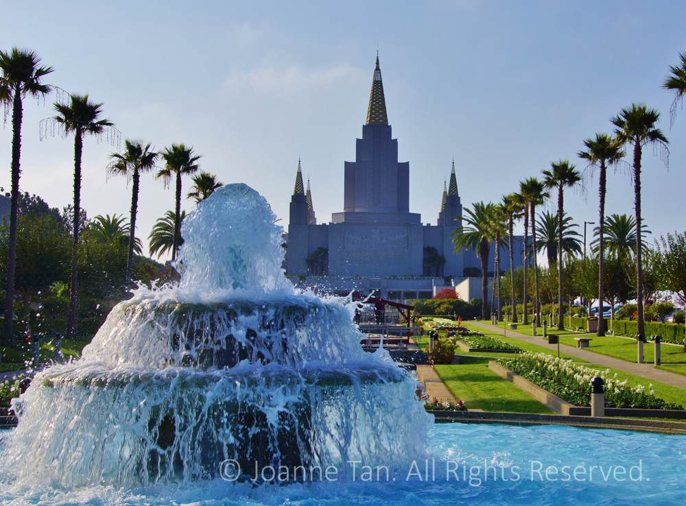 Morning view of the Mormon Temple lined with palm trees with water splashing at foreground. Blue water and green lawn, Piedmont, California.