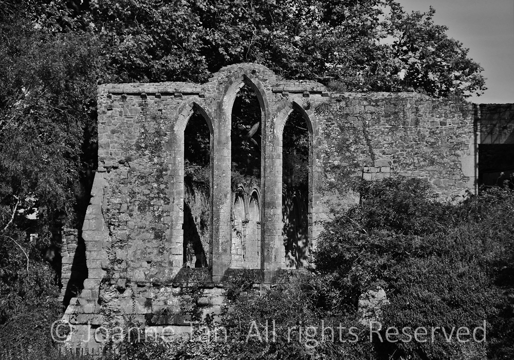 What remained from an old church are the stone walls standing among trees and climbing vines.