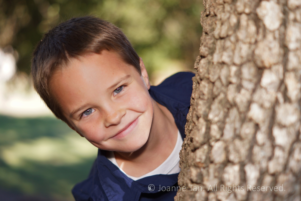 Portrait - boy's peekaboo from behind a tree