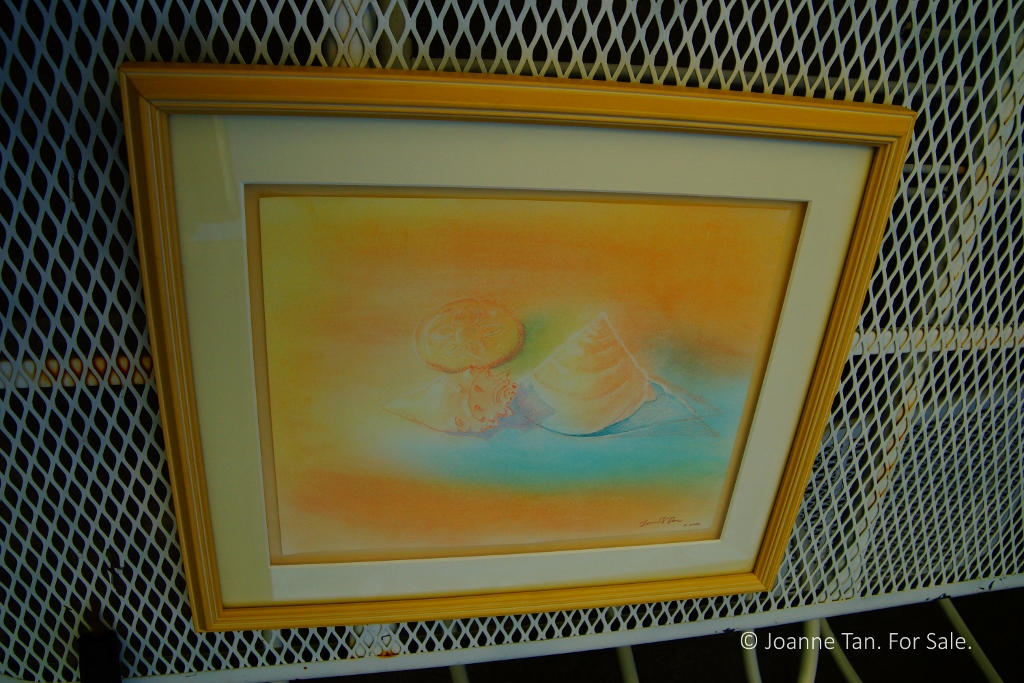 painting - pastel - Seashells & a Sand Dollar - customframed - Joanne Tan (1024x683)