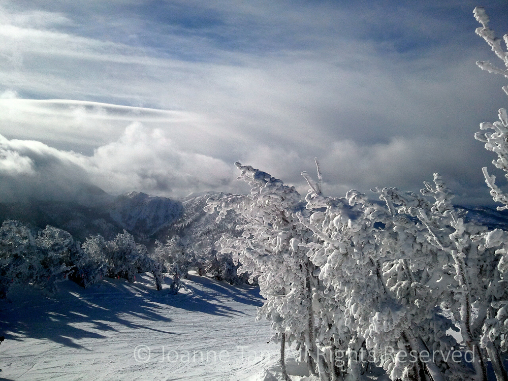 P-landscape - Snow Covered Trees, Ski Run & Sky, on highest point of Lake Tahoe, CA