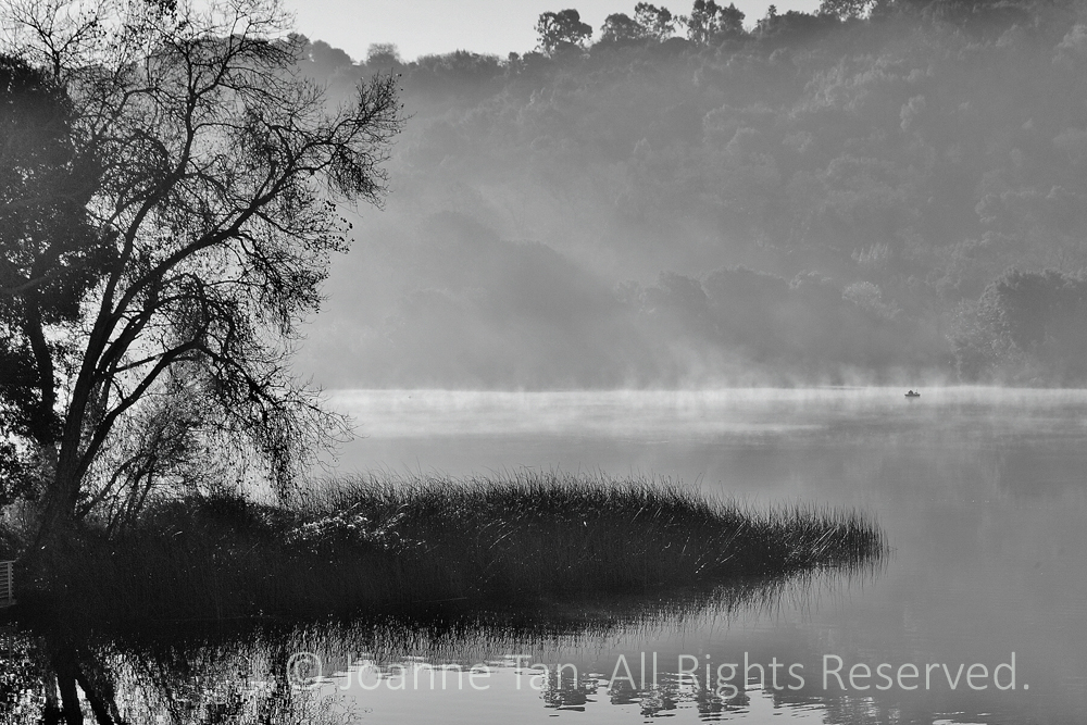 p-landscape-Mysterious Water & a Lone Boater, B&W, Lafayette Reservoir, CA