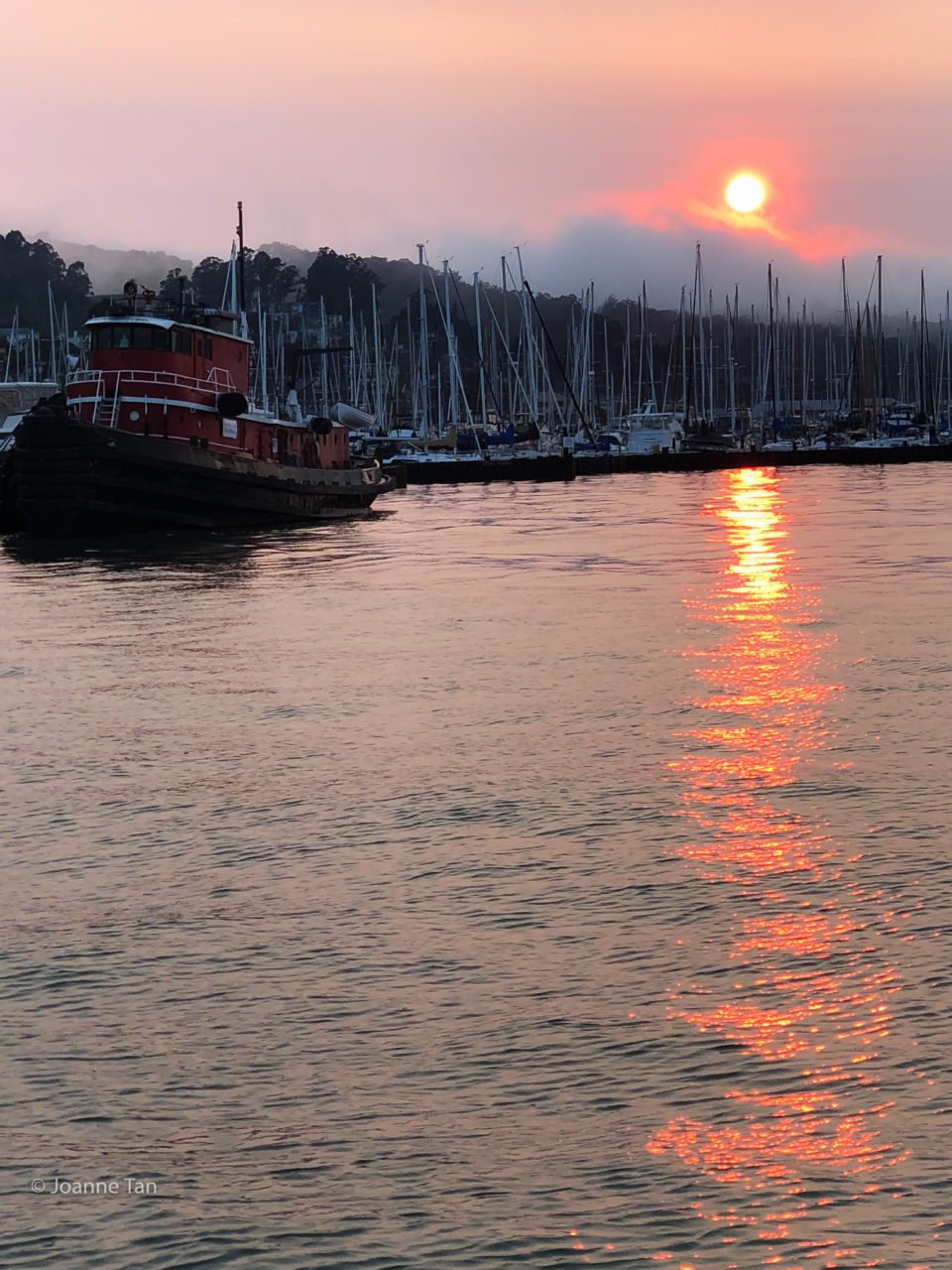 Sausalito Harbor Sunset w boats #38 _by Joanne Tan_Iphone10_-2240