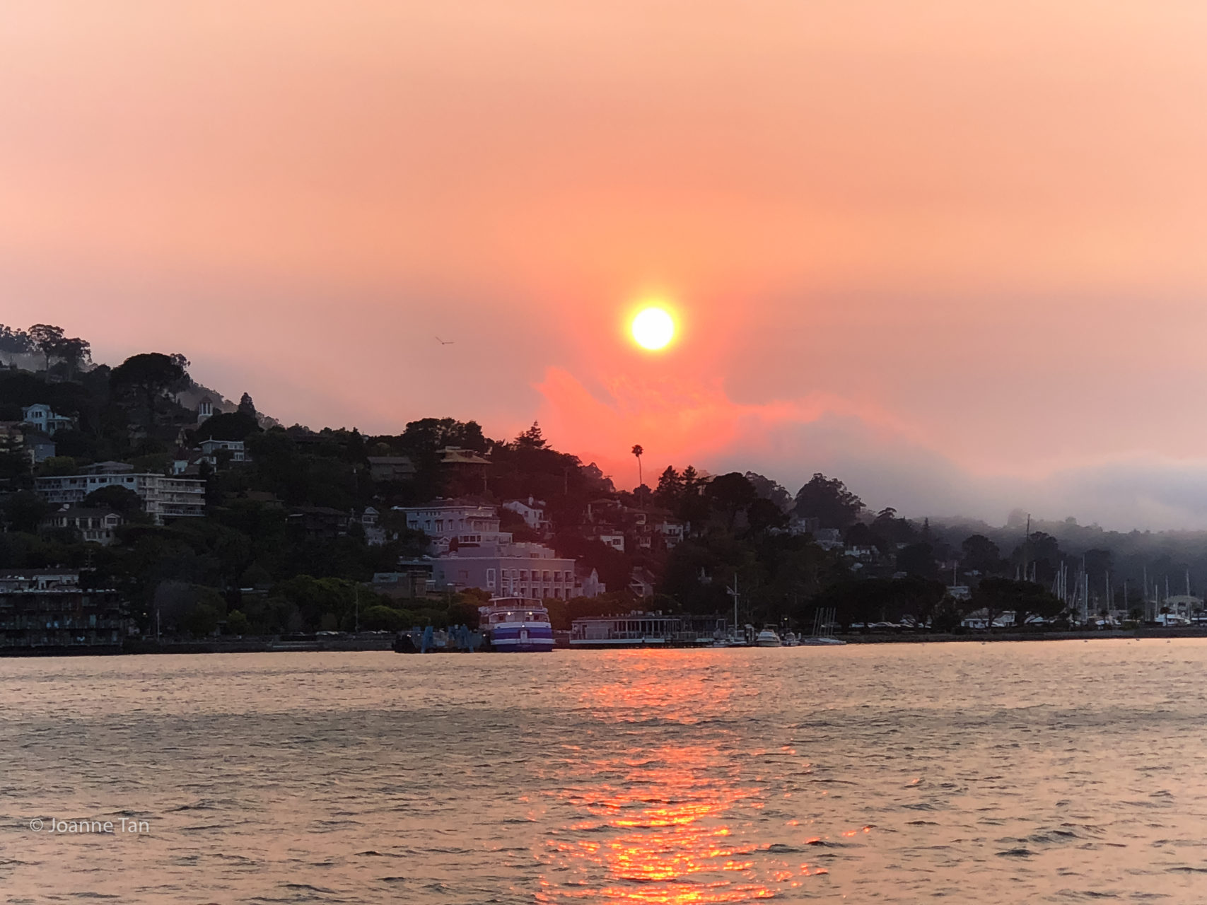 Sausalito Harbor Sunset w boats #53 _by Joanne Tan_Iphone10_-2208