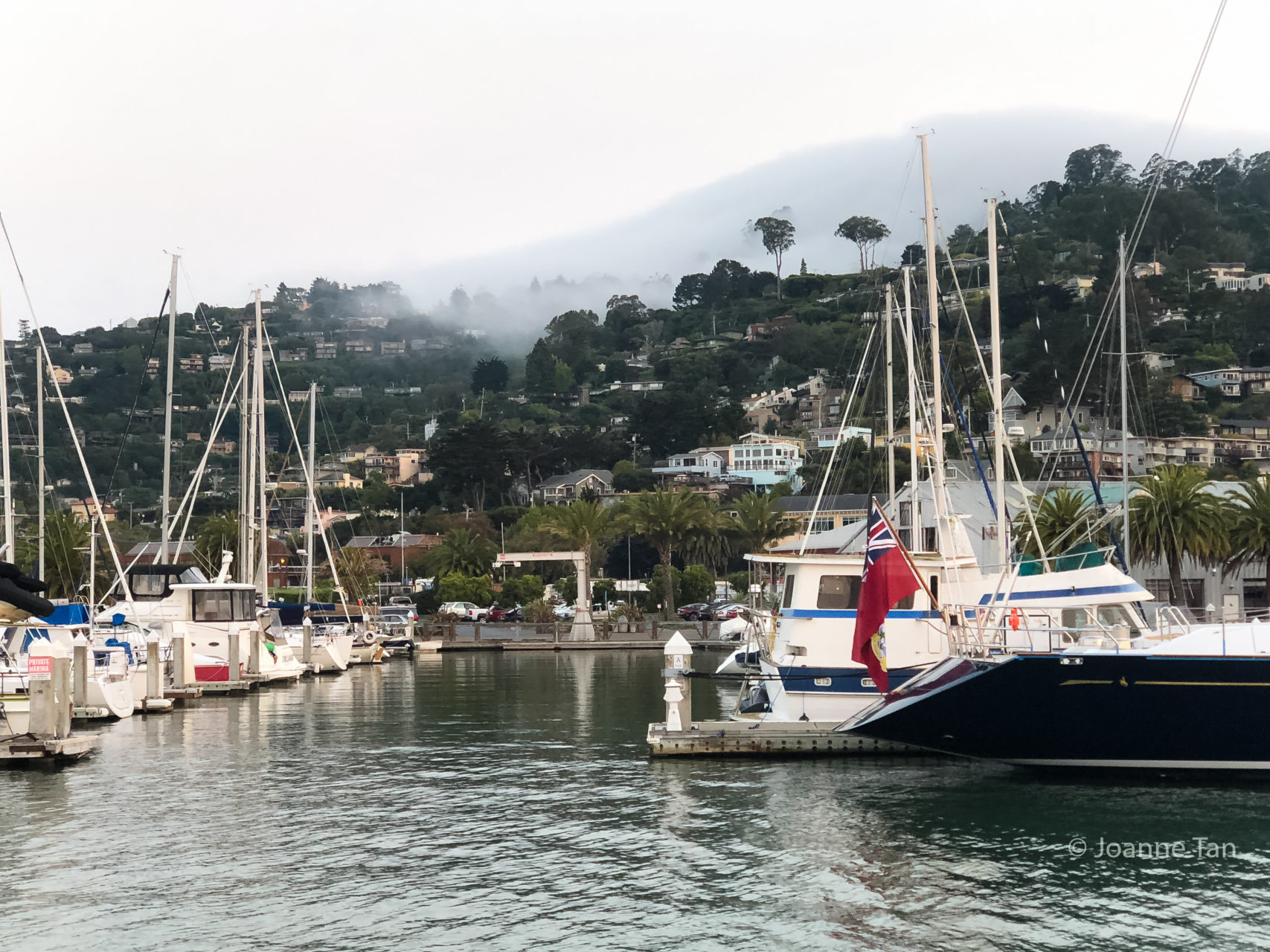 Sausalito Harbor & rolling mist 1 _by Joanne Tan_Iphone10_-2366