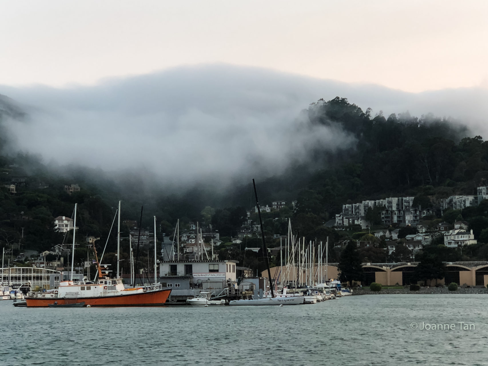 Sausalito Harbor & rolling mist 3 _by Joanne Tan_Iphone10_-2352