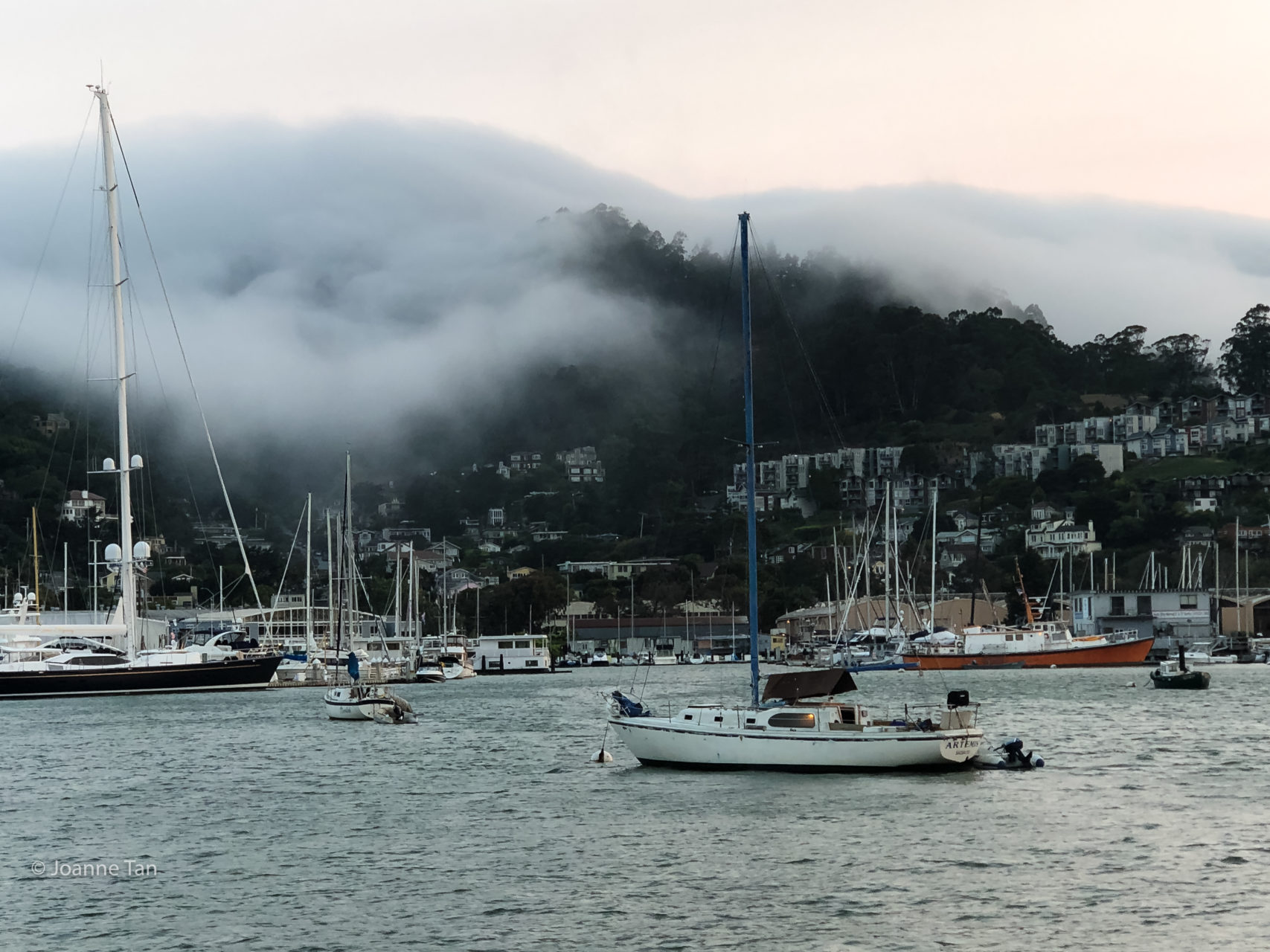 Sausalito Harbor & rolling mist 5 _by Joanne Tan_Iphone10_-2342 2