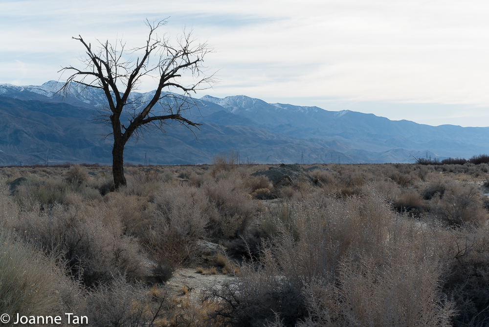 Death Valley_Desert_Mountain_landscape_photography_by Joanne Tan_Nature_Desolate_beauty_-02685