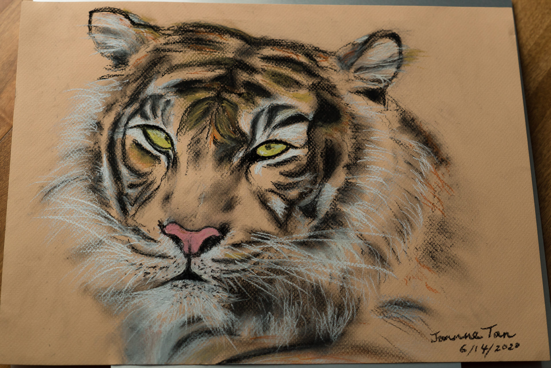 It took me a whole day to paint this from #pastel from a #photo. I think I got that #fierce gaze. What a magnificent creature.

It has been submitted to the #DeYoung Open for exhibit and sale along with "Lion #1"
